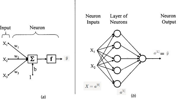 Logistic Regression And Basics Of Neural Network